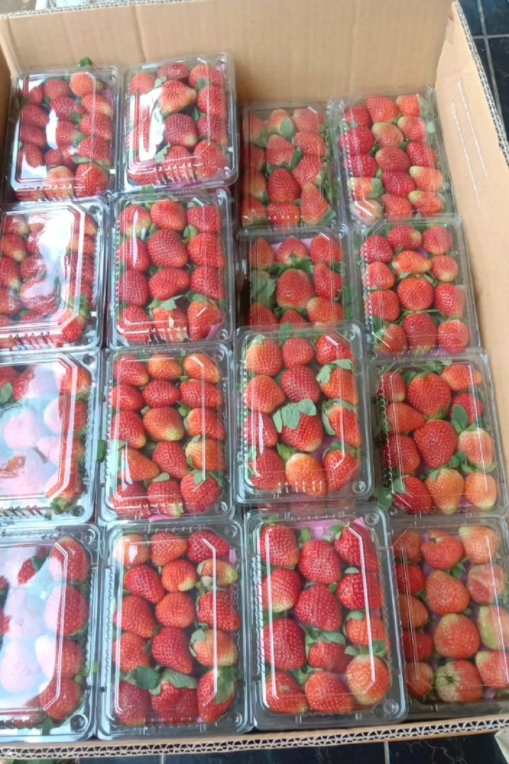 Frutilla